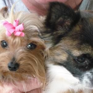 Meet your Posher, Chenequa